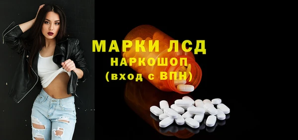 индика Зеленокумск