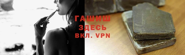 индика Зеленокумск