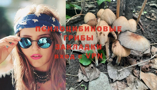 индика Зеленокумск