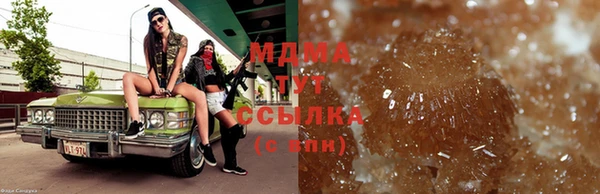 индика Зеленокумск